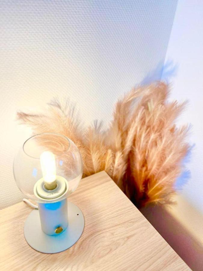 Апартаменти L'Atelier Chic - Wifi Fibre - Parking Privee - Balcon - Netflix Ланесте Екстер'єр фото